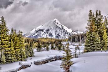 Картинка природа зима снега лес горы
