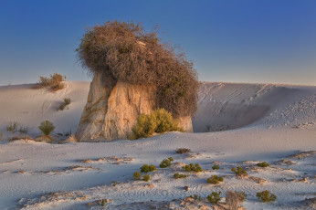 Картинка природа пустыни растительность камень пески