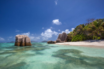 Картинка природа тропики пальмы пляж остров океан