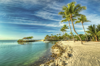 Картинка природа тропики пляж пальмы