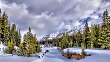 Картинка природа зима снег лес горы