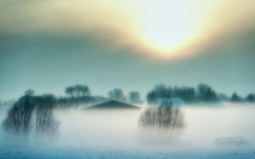 Картинка природа восходы закаты деревья кусты крыша туман