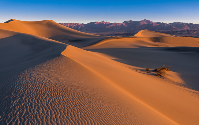 Обои картинки фото природа, пустыни, desert, sand, mesquite, dunes, death, valley
