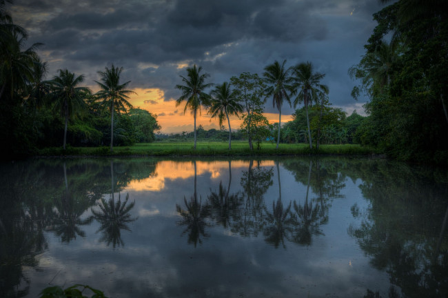 Обои картинки фото природа, тропики, пальмы, река