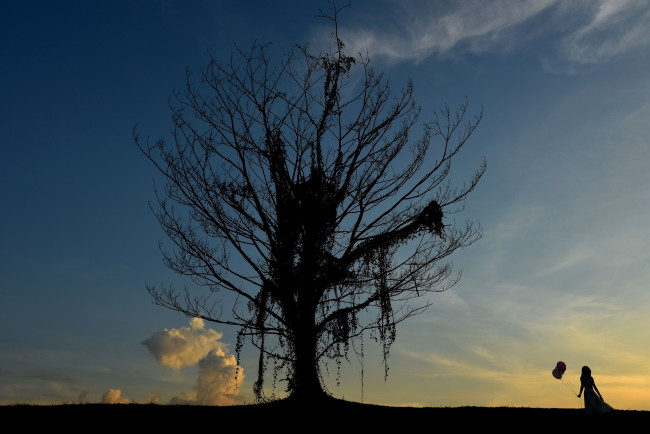 Обои картинки фото природа, деревья, дерево, шарики, девушка, небо, силуэт