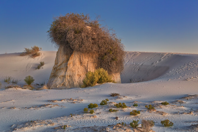 Обои картинки фото природа, пустыни, растительность, камень, пески