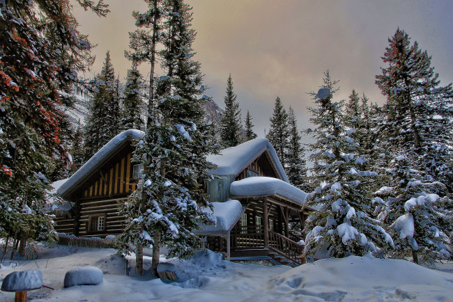 Обои картинки фото природа, зима, сугробы, домик, снег, ели