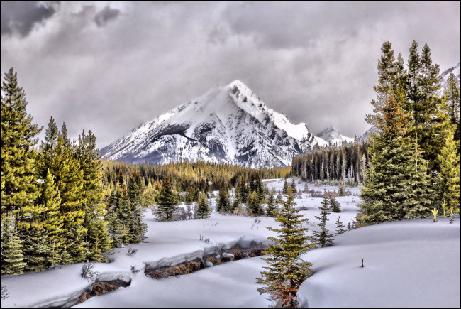 Обои картинки фото природа, зима, снега, лес, горы