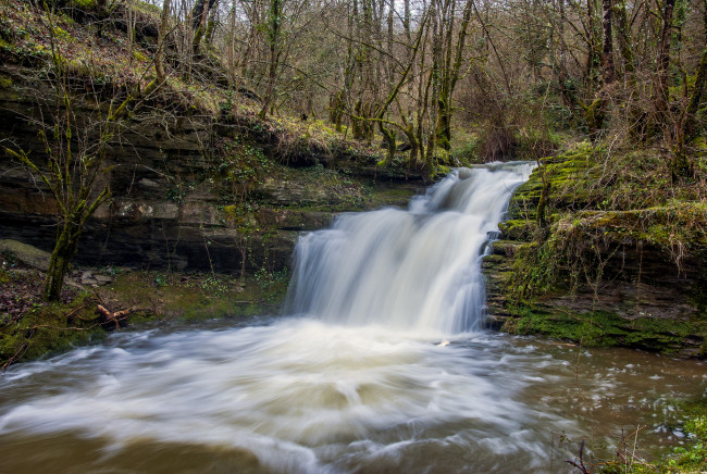 Обои картинки фото природа, водопады, лес, река, водопад