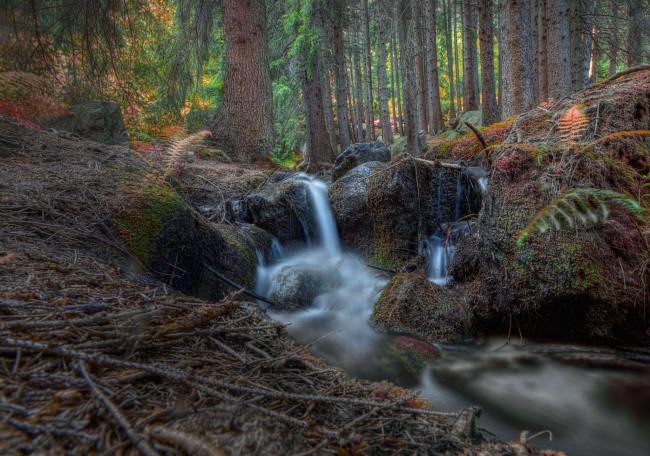 Обои картинки фото природа, водопады, ручей, лес, водопад