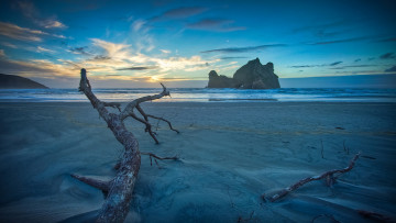 Картинка природа побережье коряга берег скалы море закат