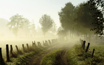 Картинка природа дороги трава изгородь деревья дорога туман утро