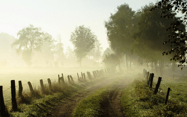 Обои картинки фото природа, дороги, трава, изгородь, деревья, дорога, туман, утро