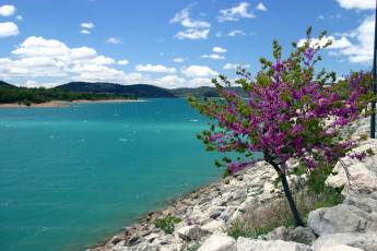 Картинка bauduen lac de sainte provence france природа реки озера франция прованс