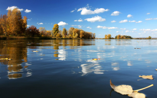 Обои картинки фото природа, реки, озера, река, осень, листья, деревья