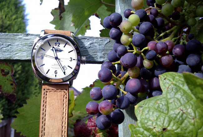 Обои картинки фото разное, Часы, часовые, механизмы, виноград, часы