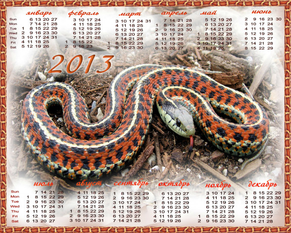 Обои картинки фото calendar, календари, животные, змея