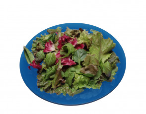 Картинка еда салаты +закуски тарелка листья салат руккола