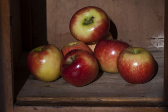 Картинка еда Яблоки яблочки
