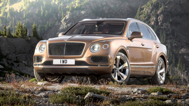 Обои картинки фото bentley bentayga concept 2016, автомобили, bentley, 2016, concept, bentayga