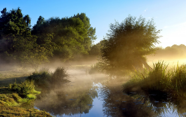 Обои картинки фото природа, реки, озера, утро, туман