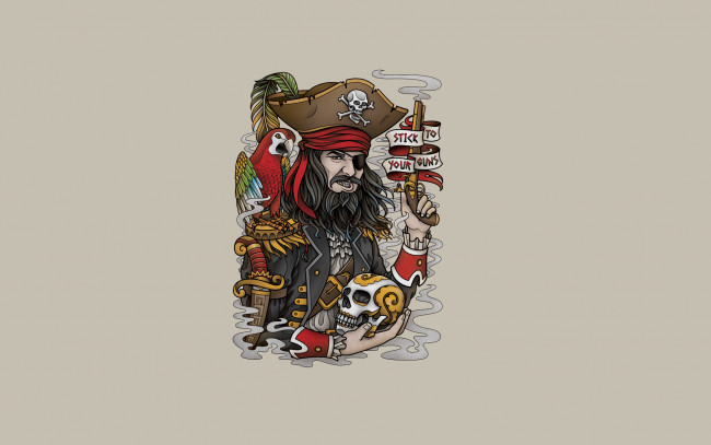 Обои картинки фото рисованное, минимализм, птица, попугай, pirate, оружие, борода, перья, скелет, голова, надпись, череп, пират