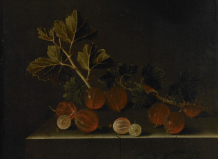 Картинка рисованное живопись ягоды картина натюрморт