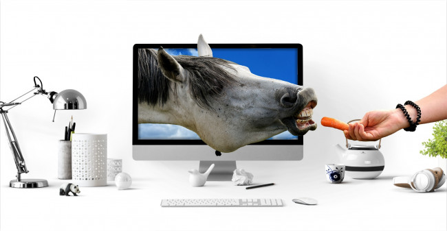 Обои картинки фото юмор и приколы, монитор, лошадь