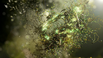 Картинка 3д+графика абстракция+ abstract растение капли