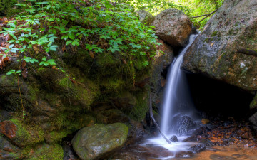 Картинка природа водопады водопад камни растения