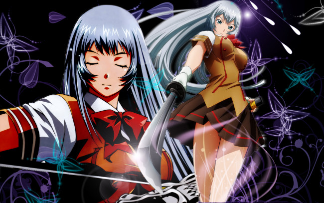 Обои картинки фото аниме, ikki, tousen