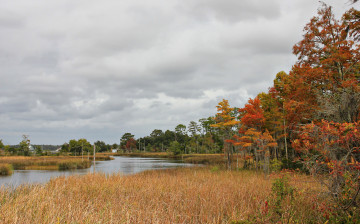 Картинка природа реки озера осень сухая трава река