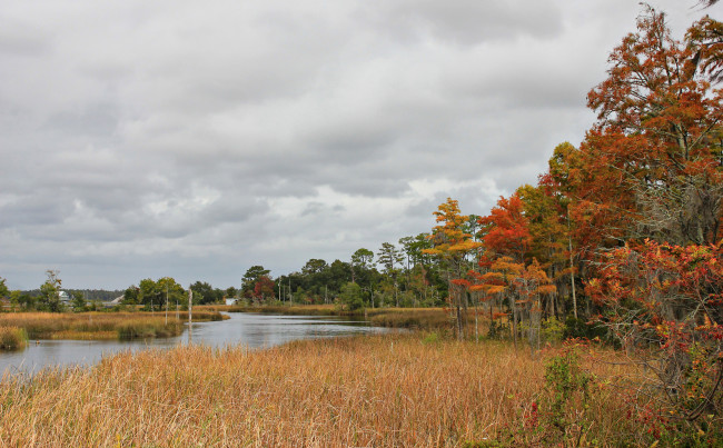 Обои картинки фото природа, реки, озера, осень, сухая, трава, река