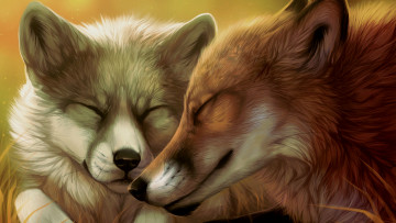 Картинка рисованные животные лисы морды