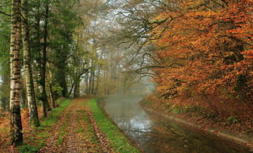 Картинка природа реки озера туман листва река лес осень