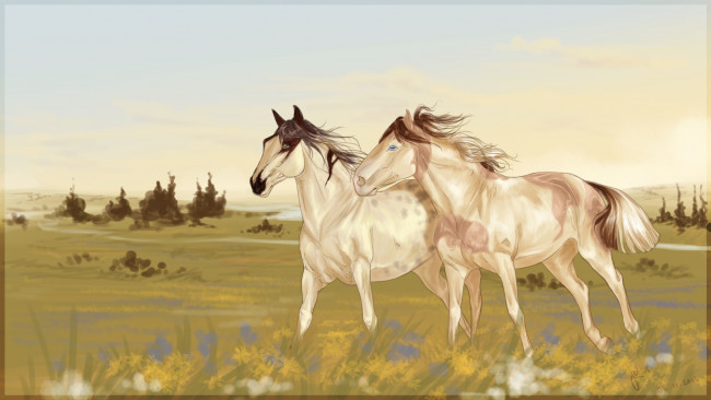Обои картинки фото рисованные, животные, лошади, луг