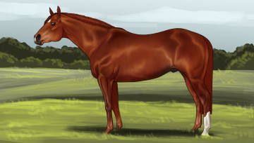 Картинка рисованное животные +лошади лошадь фон трава