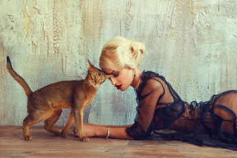 Картинка девушки -unsort+ блондинки украшения пеньюар блондинка девушка кошка кот