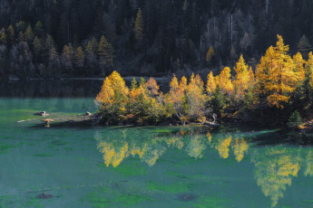 Картинка природа реки озера деревья вода река