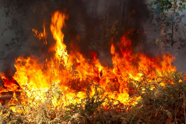 Обои картинки фото природа, огонь, пламя, пожар