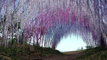 Картинка цветы глициния деревья