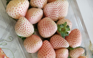 Картинка еда клубника +земляника ягоды белая