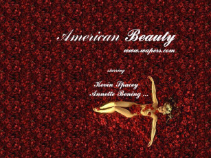 Картинка кино фильмы american beauty