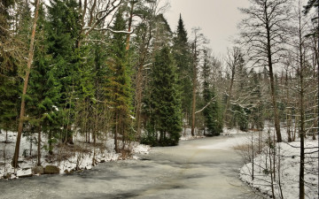 Картинка природа зима река снег лес