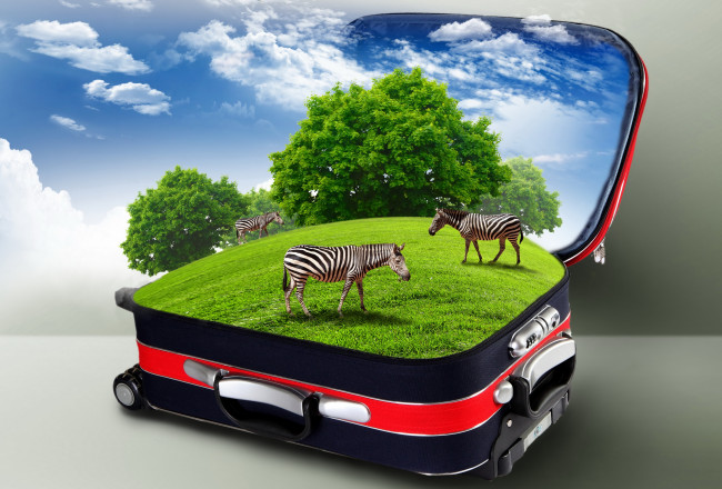 Обои картинки фото разное, компьютерный, дизайн, зебры, чемодан, деревья, трава