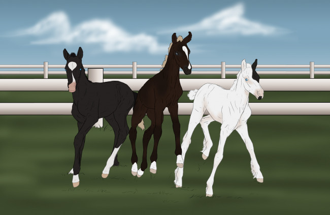 Обои картинки фото рисованное, животные,  лошади, забор, трава, облака, лошадки