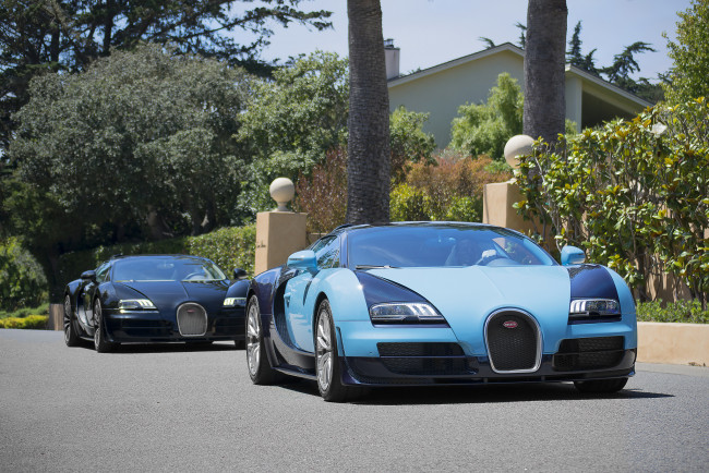 Обои картинки фото bugatti veyron legends editions, автомобили, bugatti, спорткар
