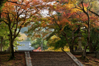 Картинка природа парк лестница осень деревья