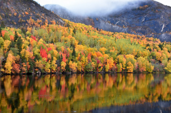 Картинка природа реки озера озеро осень отражение