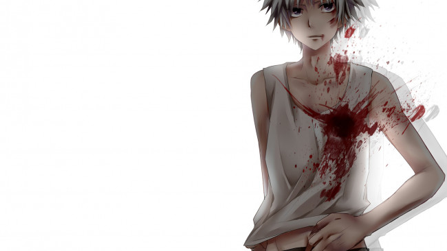 Обои картинки фото аниме, hunter x hunter, рана, киллуа, кровь